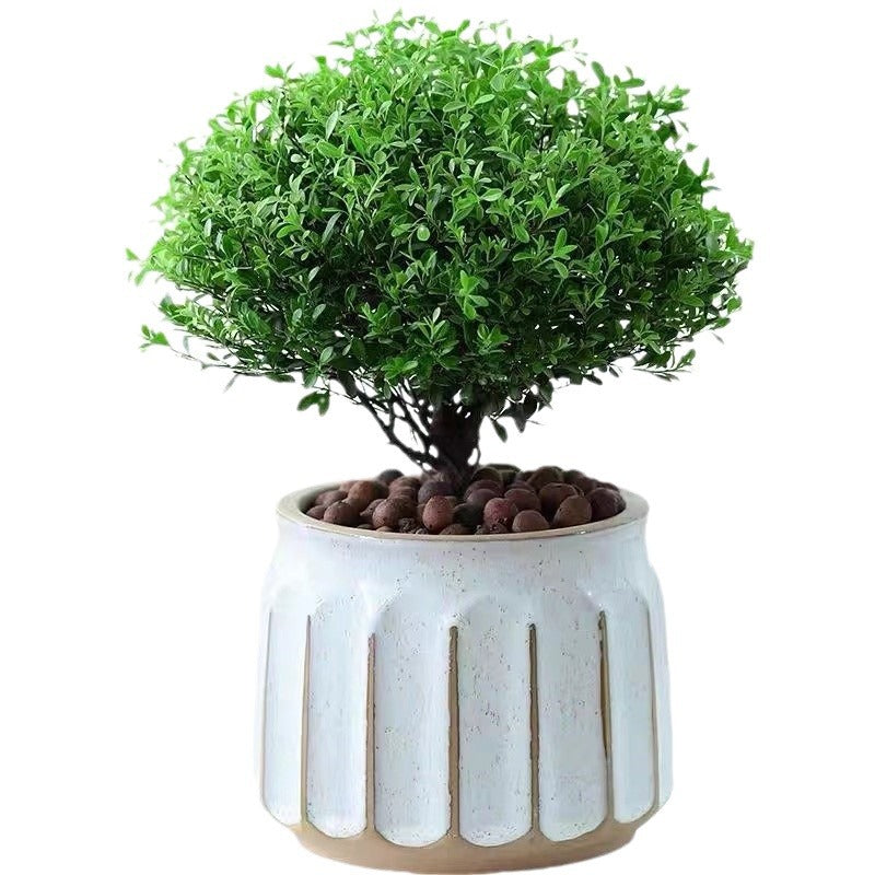 2c75507993b40cc42cd3d40064b32bc